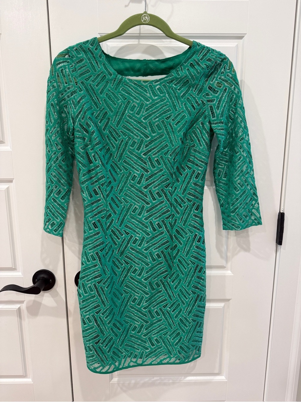 Lilly Pulitzer Camellia Fern Green Lace Shift Dress with geometric lace pattern